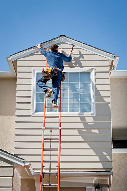 Best Siding Painting and Refinishing  in Ocoee, FL